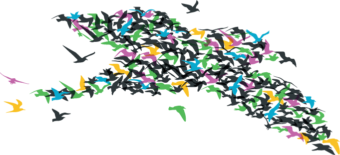 Raman Lab logo, different color birds fly together to form the shape of a bird