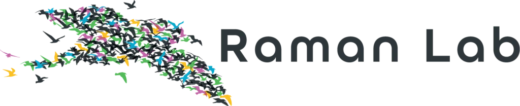 Raman Lab logo, different color birds fly together to form the shape of a bird with the words "Raman Lab"
