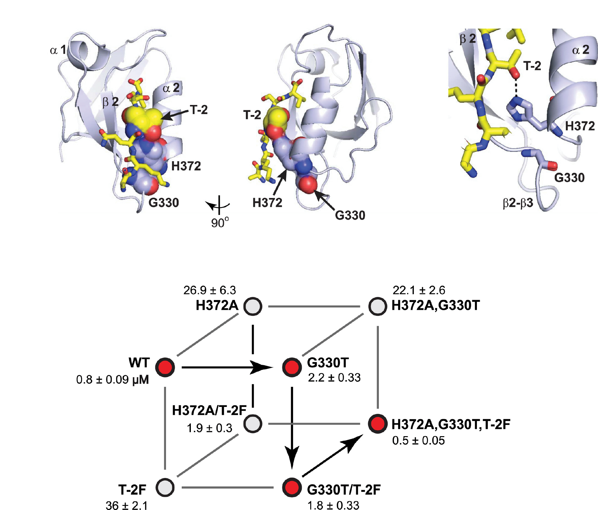 Origins-of-Allostery