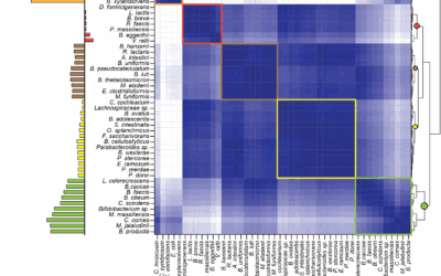 Statistical design of a synthetic microbiome that clears a multi-drug resistant gut pathogen