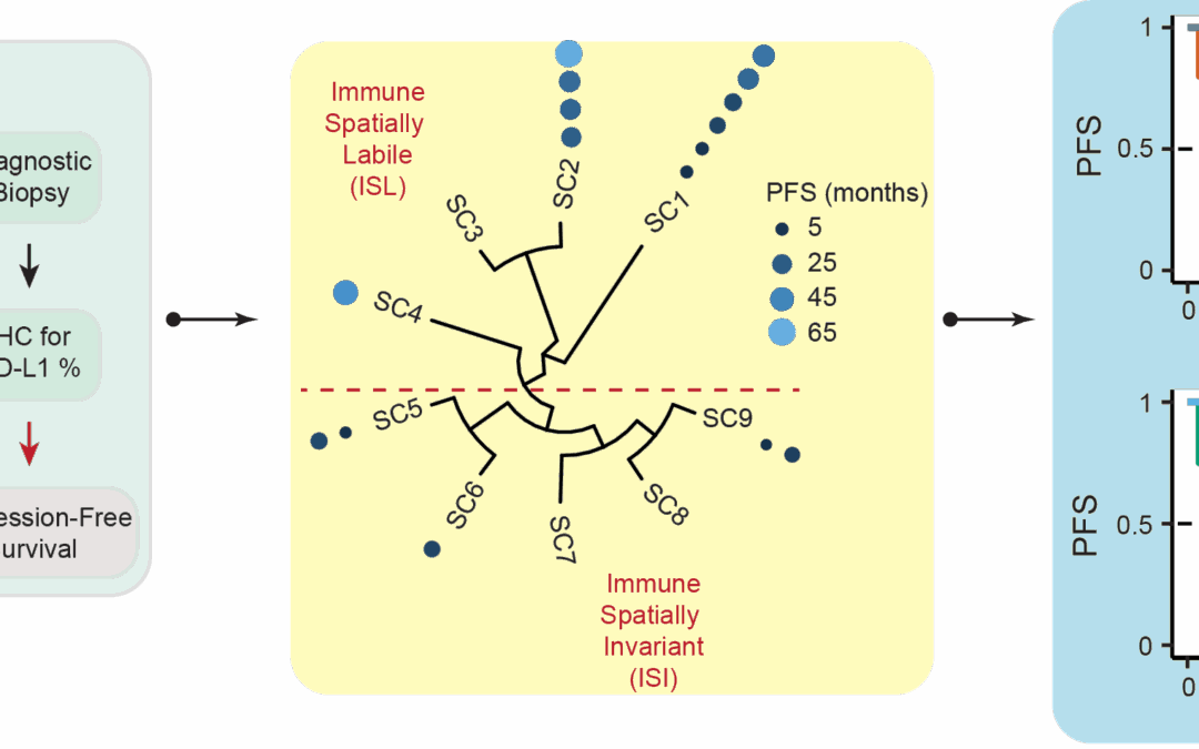 Conserved principles of spatial biology define tumor heterogeneity and response to immunotherapy