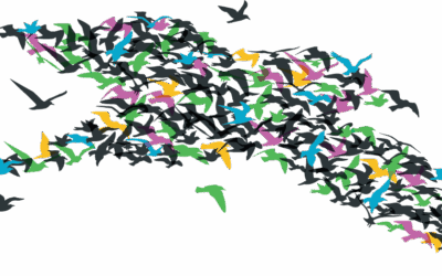 Why we think Emergence is the Future of Science